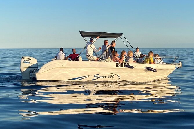 Dolphin Sunrise Adventure with Speedboat - Is $42.17 a good price?