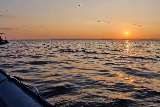 Dolphin Sunrise Adventure with Speedboat - Planning the morning in Vrsar