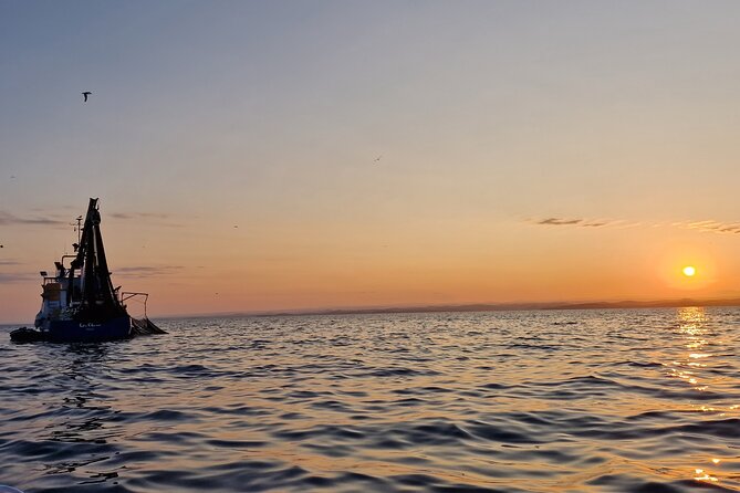 Dolphin Sunrise Adventure with Speedboat - Who will enjoy this speedboat outing?