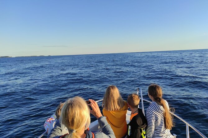Dolphin Sunset Adventure with Speedboat - Price and what the 30.25 dollars buys you