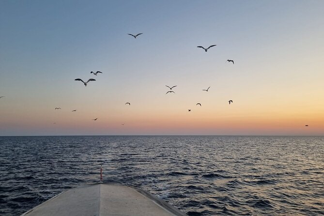 Dolphin & Sunset tour with Brijuni panorama - Service that helps the evening feel easy