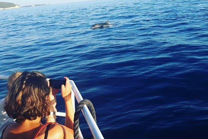 Dolphin Watching & Sunset Boat Tour With Dinner and Drinks - Sunset over the Adriatic, then Pula by night