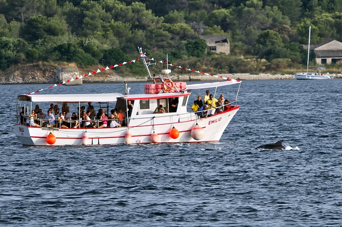 Dolphin Watching Sunset Boat Trip in Pula with Dinner - Leaving Pula for Brijuni National Park