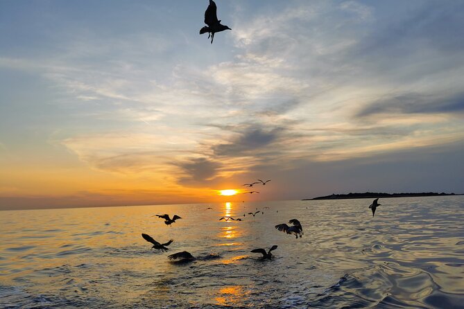 Dolphin Watching Sunset Boat Trip in Pula with Dinner - Sunset over the open water