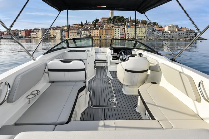 Dolphin Watching Sunset Speedboat Tour with Drinks in Rovinj - Respectful viewing when the dolphins appear