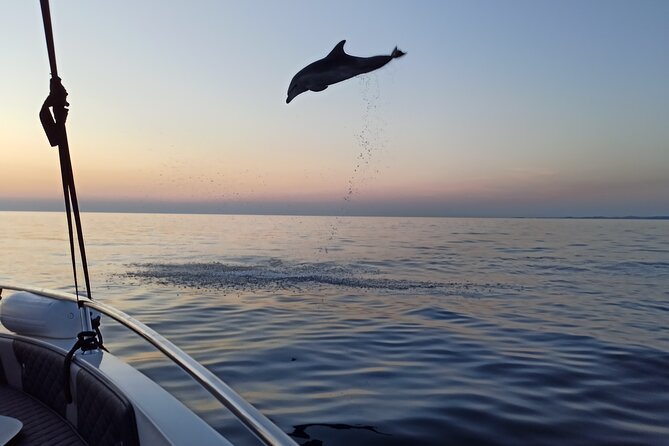 Dolphin Watching Sunset Speedboat Tour with Drinks in Rovinj - Complimentary drinks and the value of the price