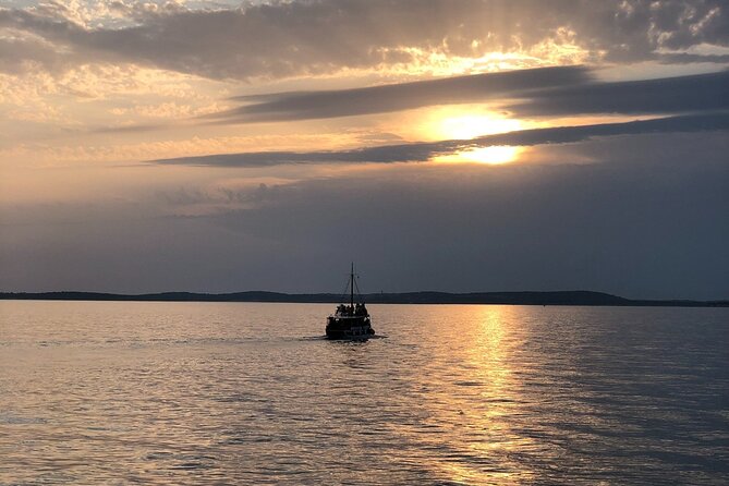 Dolphin Watching Tour – 85% Chance – Drinks & Dinner Included - Searching for Dolphins in the Adriatic