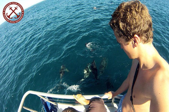 Dolphins Watching in the National Park Brijuni from Pula - Key points before you book