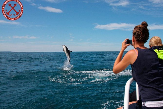 Dolphins Watching in the National Park Brijuni from Pula - Searching for wild dolphins