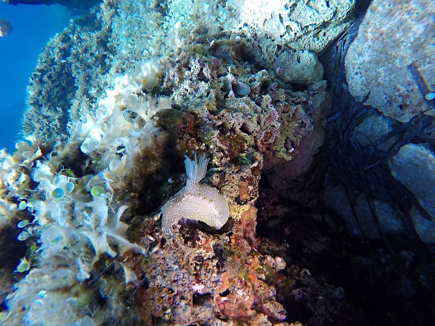 Dubrovnik: 1-Day Discover Scuba Diving Course - The theory and equipment briefing