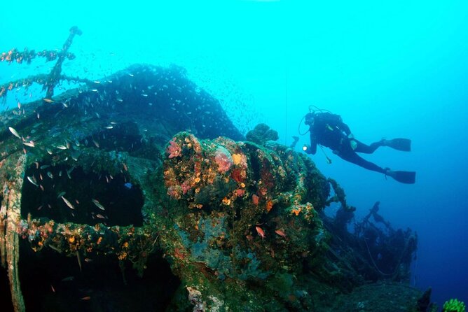 Dubrovnik 1 Dive for Certified Divers - Equipment, briefing, and the small-group advantage