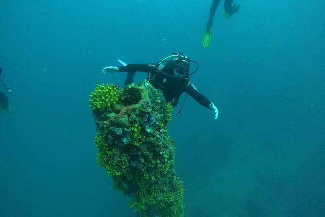 Dubrovnik 1 Dive for Certified Divers - What the price includes at $96.33