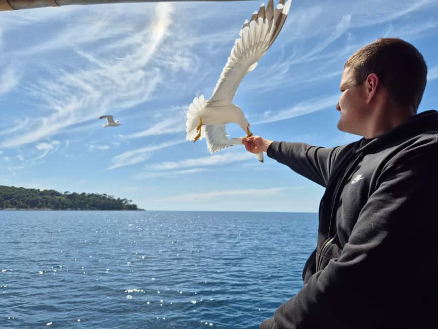 Dubrovnik: 3 Island Boat Tour with Lunch and Guide - Lopud gives you the most time