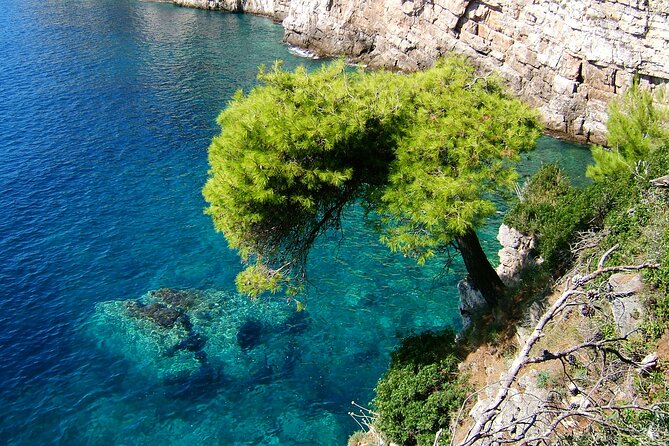 Dubrovnik: 3 Islands Boat Tour with Lunch & drinks(FR, ES, EN) - Is $72.56 a fair price?
