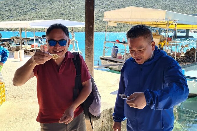 Dubrovnik Airport to Split Private transfer 1-8 pax (Door to Door any location) - Driver communication and pickup planning