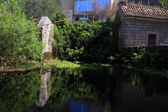 Dubrovnik: Best views Sightseeing Tour - Price, group size, and overall value