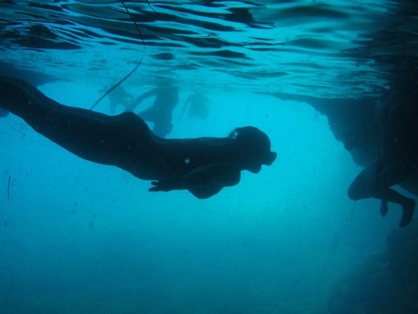 Dubrovnik: Blue Cave & Sunj Beach Boat Tour with Drinks - What this four-hour boat trip actually offers