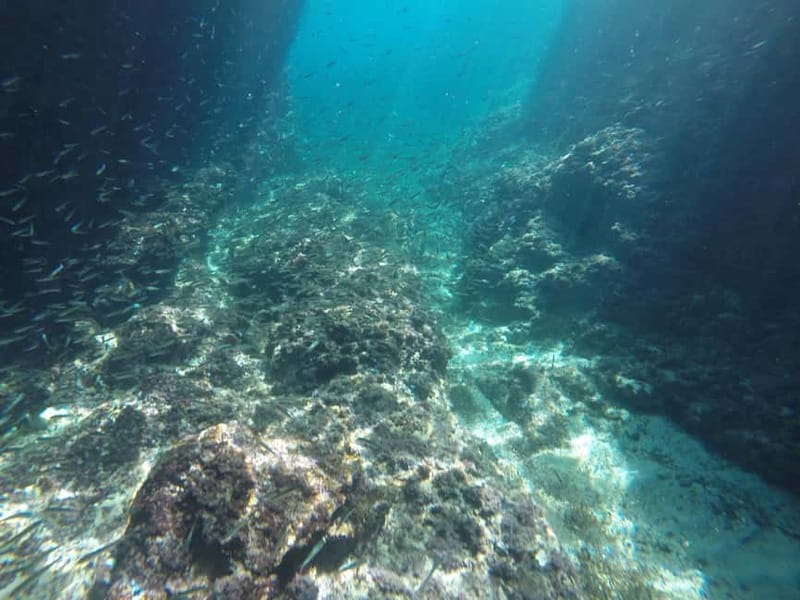 Dubrovnik: Blue Cave Tour by Speedboat with Small Group - FAQ