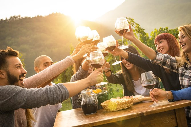 Dubrovnik Bosnia-Herzegovina Half-Day Wine Tour with Tastings - Winery Bojanic and a Family Table