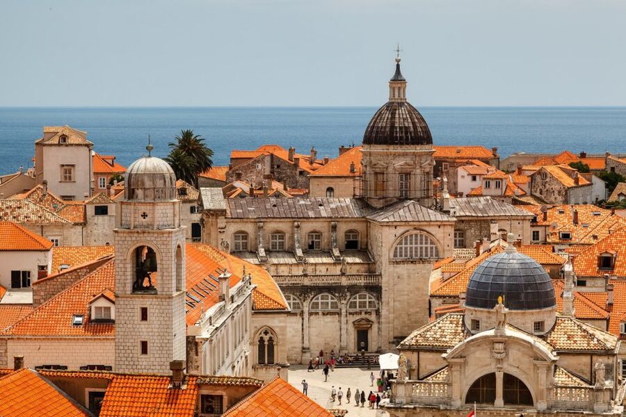 Dubrovnik Day Tour from Split or Trogir - Guides, drivers, and the human side of the day