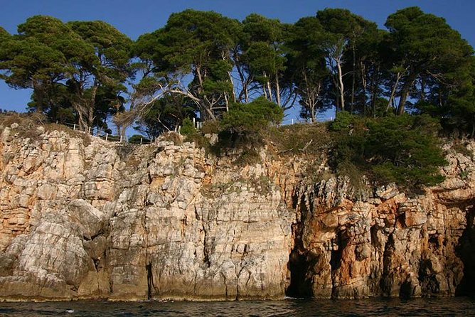Dubrovnik Elafiti Islands Cruise with Lunch, Drinks and Pickup - Šipan and the village of Suđurađ