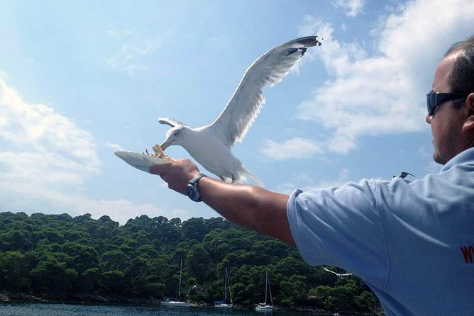 Dubrovnik Elafiti Islands Cruise with Lunch, Drinks and Pickup - How much value do you get for $71.35?