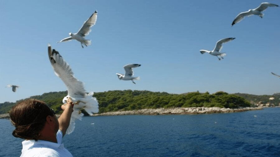 Dubrovnik: Elaphiti Islands Boat Cruise with Lunch & Drinks - The ride back is part of the experience