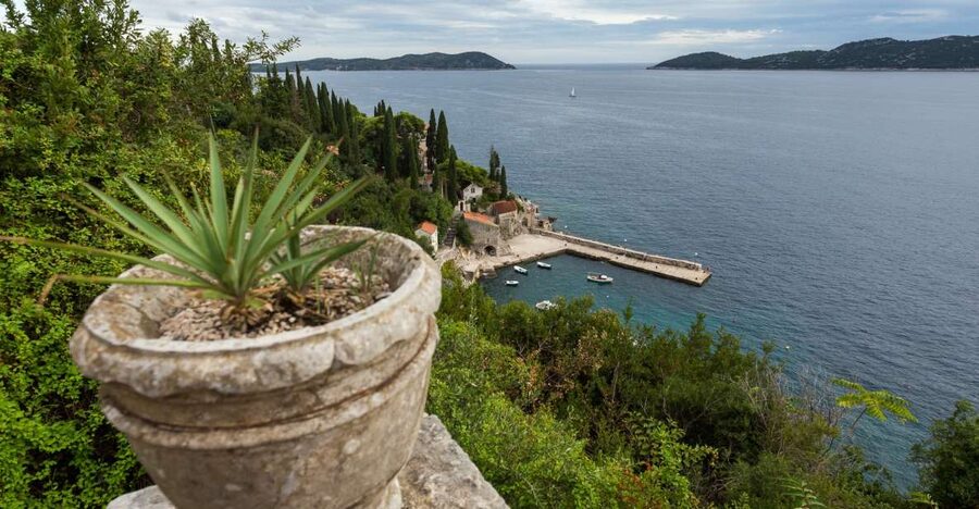 Dubrovnik: Game of Thrones Full-Day Private Tour - Trsteno Arboretum and the Gardens of King’s Landing