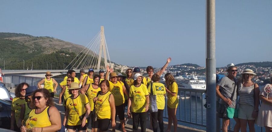 Dubrovnik: Guided Sightseeing Tour by Minivan - Is $35 good value?