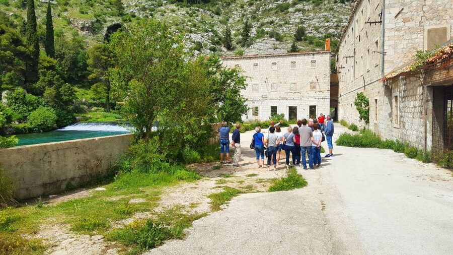 Dubrovnik: Guided Sightseeing Tour by Minivan - Comfort, group size, and the walking involved