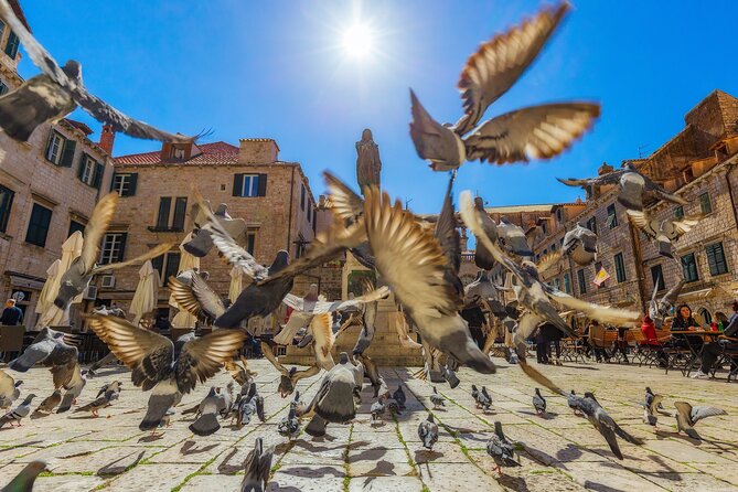 Dubrovnik Guided Tour & Free Time From Makarska Riviera - Why Dubrovnik makes this a worthwhile day trip