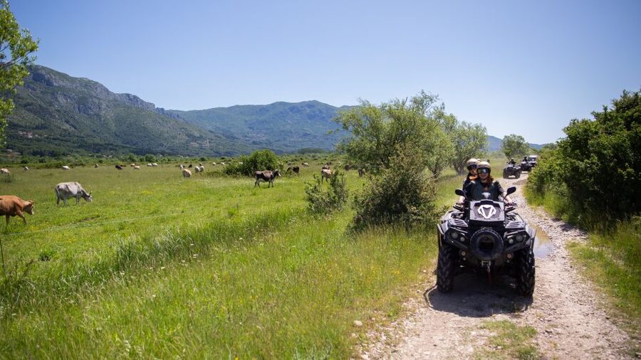 Dubrovnik: Kojan Koral ATV Quad Safari with transport - Is $164 good value for this Dubrovnik day trip?