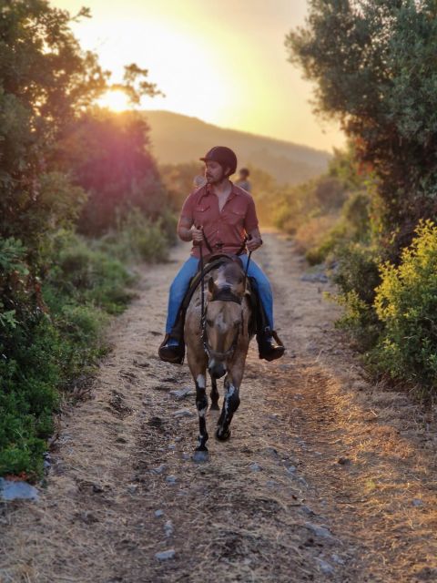 Dubrovnik Kojan Koral: Horseback Riding - Key points to know before booking