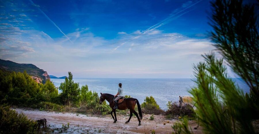 Dubrovnik Kojan Koral: Horseback Riding - Why this ride is different from a standard Dubrovnik tour