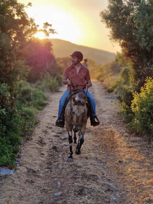 Dubrovnik Kojan Koral: Horseback Riding - Meeting the horses and learning the basics