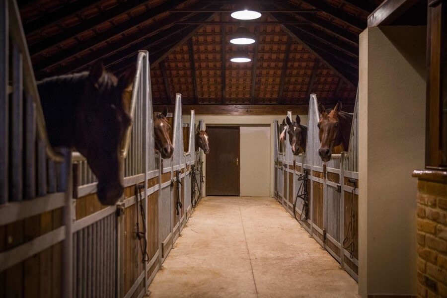 Dubrovnik Kojan Koral: Horseback Riding - Is $164 a fair price?