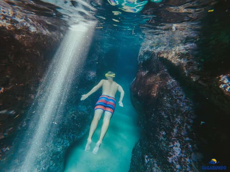 Dubrovnik: Morning Blue Cave speedboat tour with drinks - Blue Cave on Koločep: a short swim into blue light