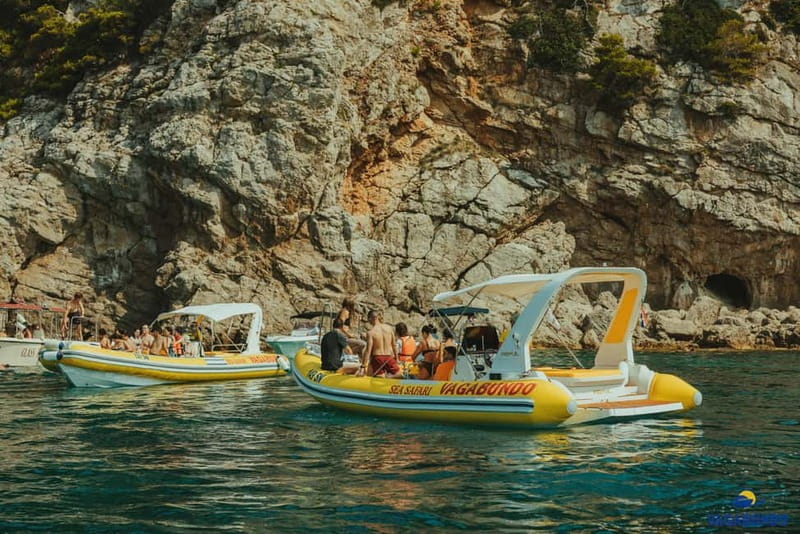 Dubrovnik: Morning Blue Cave speedboat tour with drinks - Lokrum from the water, with a final glass of wine