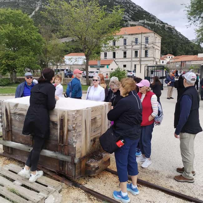 Dubrovnik: Oyster, Mussles, and Wine Tasting Tour in Ston - What the tour does well, and where it falls short