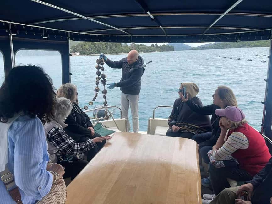 Dubrovnik: Oyster, Mussles, and Wine Tasting Tour in Ston - Who should book this Ston food tour?