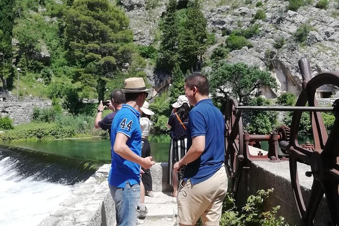Dubrovnik panorama tour & Dubrovnik on your own - Key points to know before booking