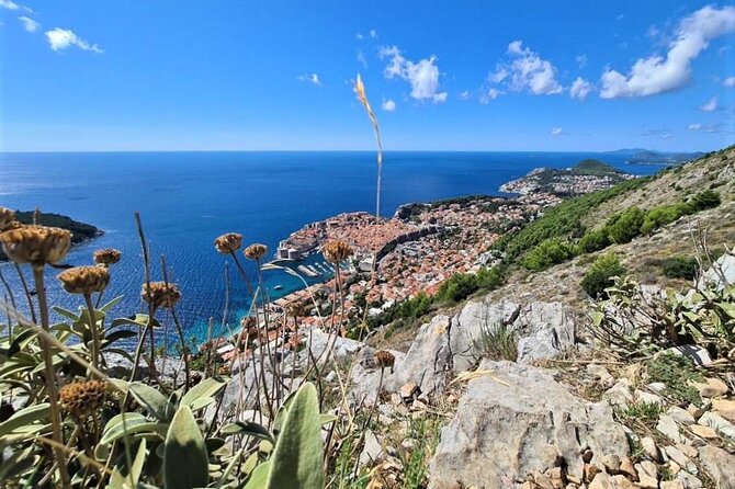 Dubrovnik Panoramic Sightseeing Tour with Guide (minivan) - Ombla Spring: a quiet stop beside the river