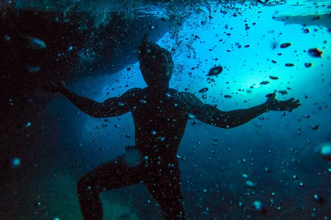 Dubrovnik: Private 2-Hour Swim, Snorkel & Cave Tour - What the captain adds to the experience