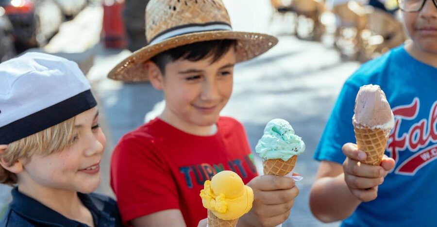 Dubrovnik: Private Family Friendly City Tour with Guide - Which families should book it