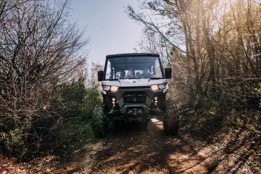 Dubrovnik: Private Panoramic Half-Day Buggy Tour with Brunch - Who should book this outing?