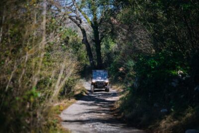 Private Panoramic Half-Day Buggy Tour with Brunch