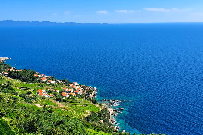 Dubrovnik Private Wine Tasting Tour to Peljesac Peninsula - Why this makes a good day from Dubrovnik
