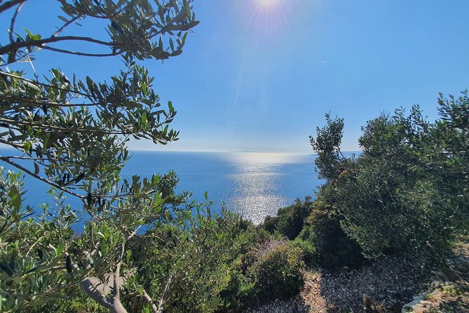 Dubrovnik Private Wine Tasting Tour to Peljesac Peninsula - Majkovi gives you the first big view