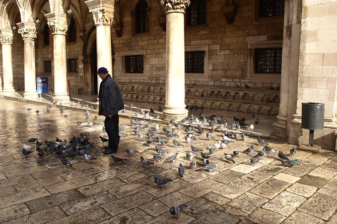 Dubrovnik's Old Town Walking Tour - Who Should Take This Tour?