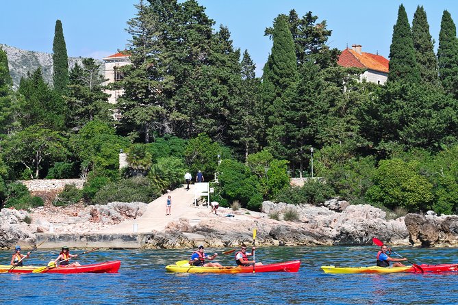 Dubrovnik: Sea Kayaking & Snorkeling Tour - Porporela and Fort Bokar from sea level